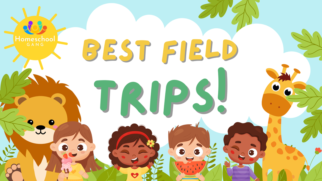 The Best Field Trips for Homeschoolers: Learning Beyond the Classroom