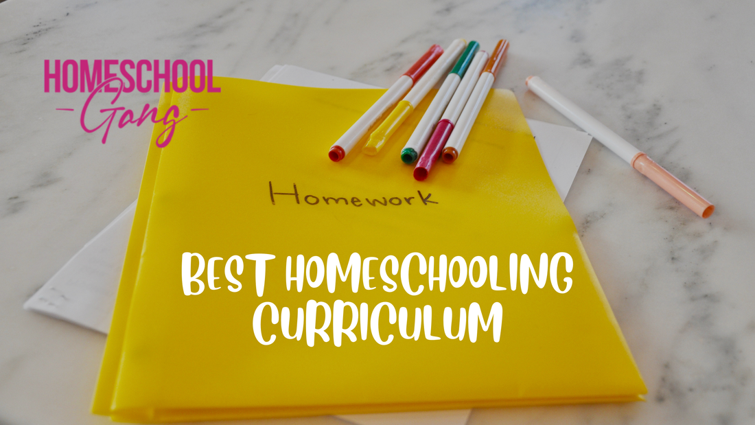 Discover the Best Homeschooling Curriculum for Your Child’s Learning Style